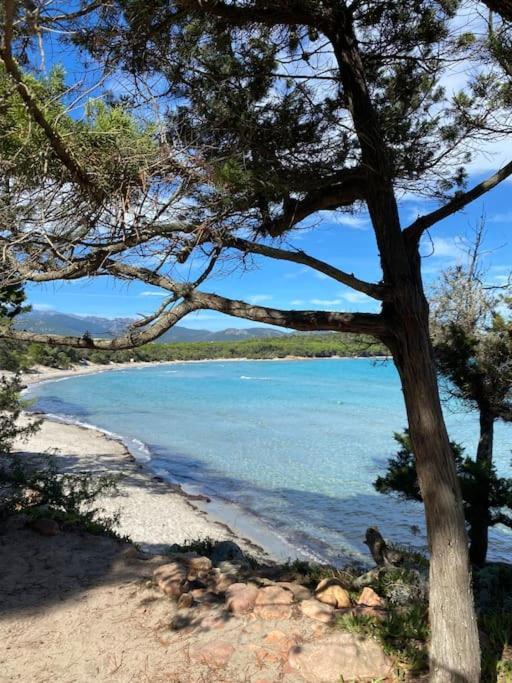 Villa Pacienta โบนิฟาซิโอ ภายนอก รูปภาพ